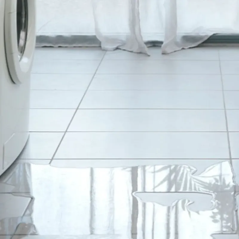 Appliance Leak Cleanup in Warm Beach, WA