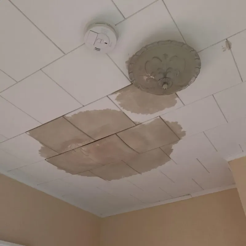 Ceiling Water Damage Repair in Warm Beach, WA